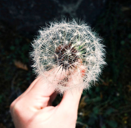 Image by Coley Christine