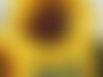 Your purpose work now