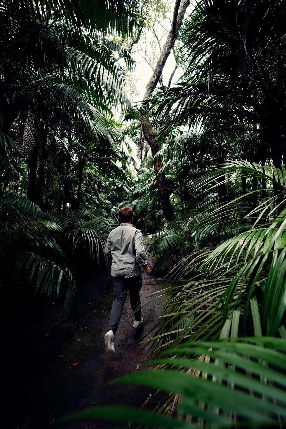 De kracht van jouw ecosysteem - Twinforest.co