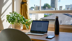 Houseplant Styling - Portable Plants