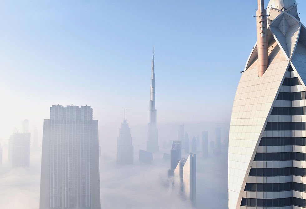Content Creation and Design for a Government Services Excellence Portal Launched by the UAE Prime Minister's Office