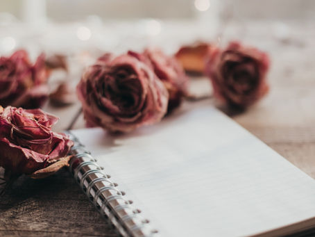 A soft, blurred notebook with dried roses beside it, evoking the quiet atmosphere of writing and reflection.