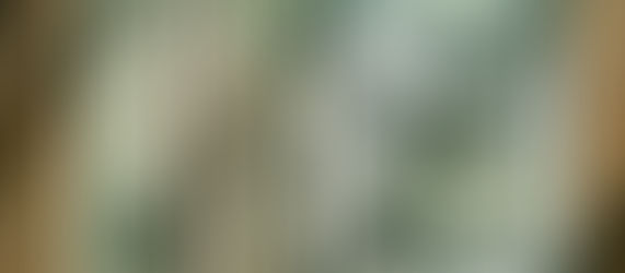 Why are so many governments serving as the collection agency for unions?