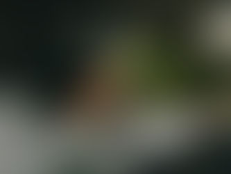 How to Handle Nervousness Before Your Driving Test