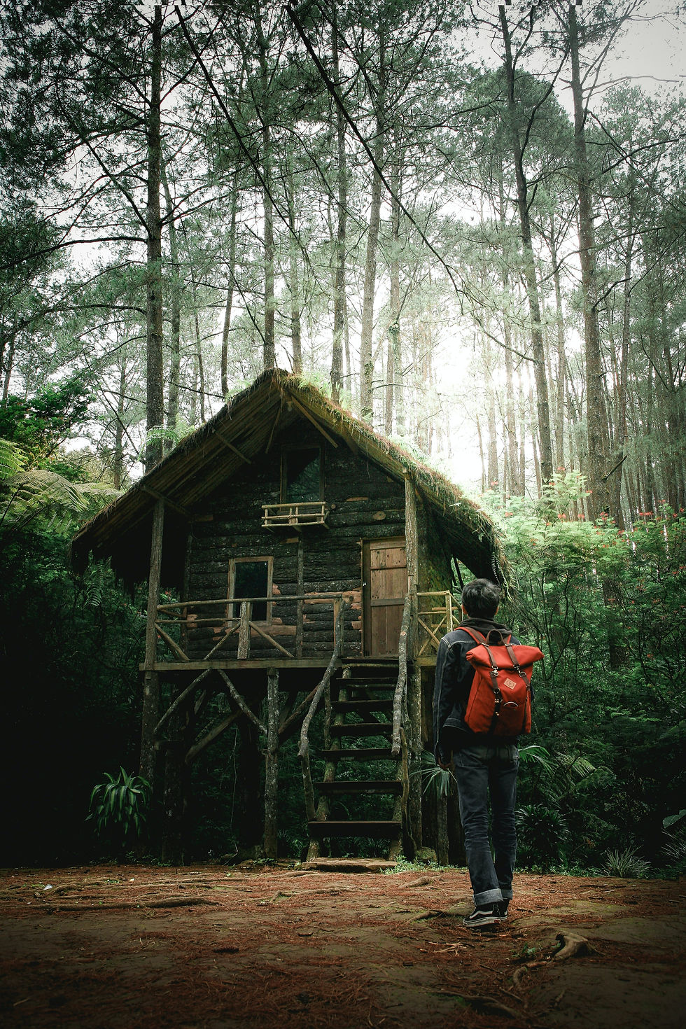 N2K Purpose, Tree Houses and Participation