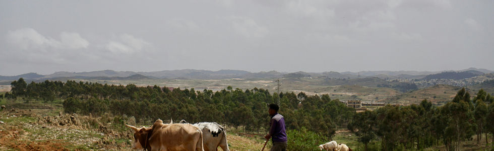 Nature and Landscape