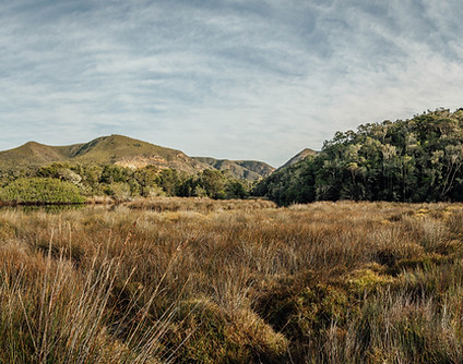 Image by Stephan Louis