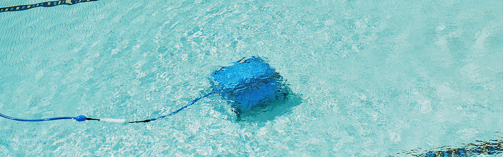 Image by Zhiqiang Wang