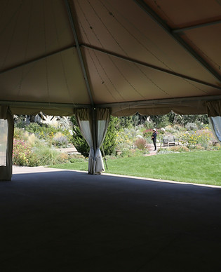 Image by Sean Thoman