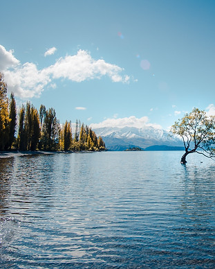 Image by Laura Smetsers