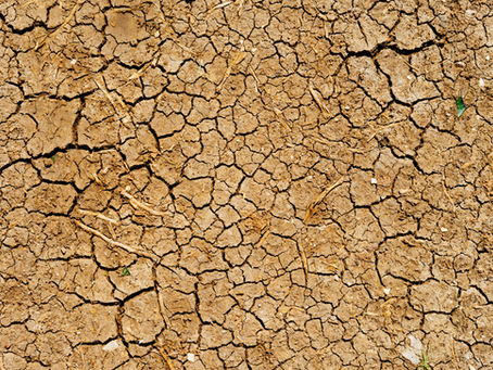 Dry Skin Diaries; Cleansing