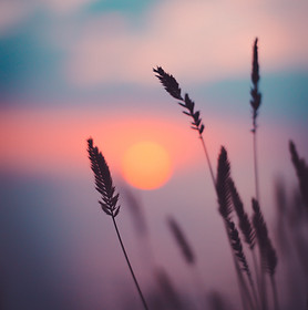 Image by Ann Savchenko