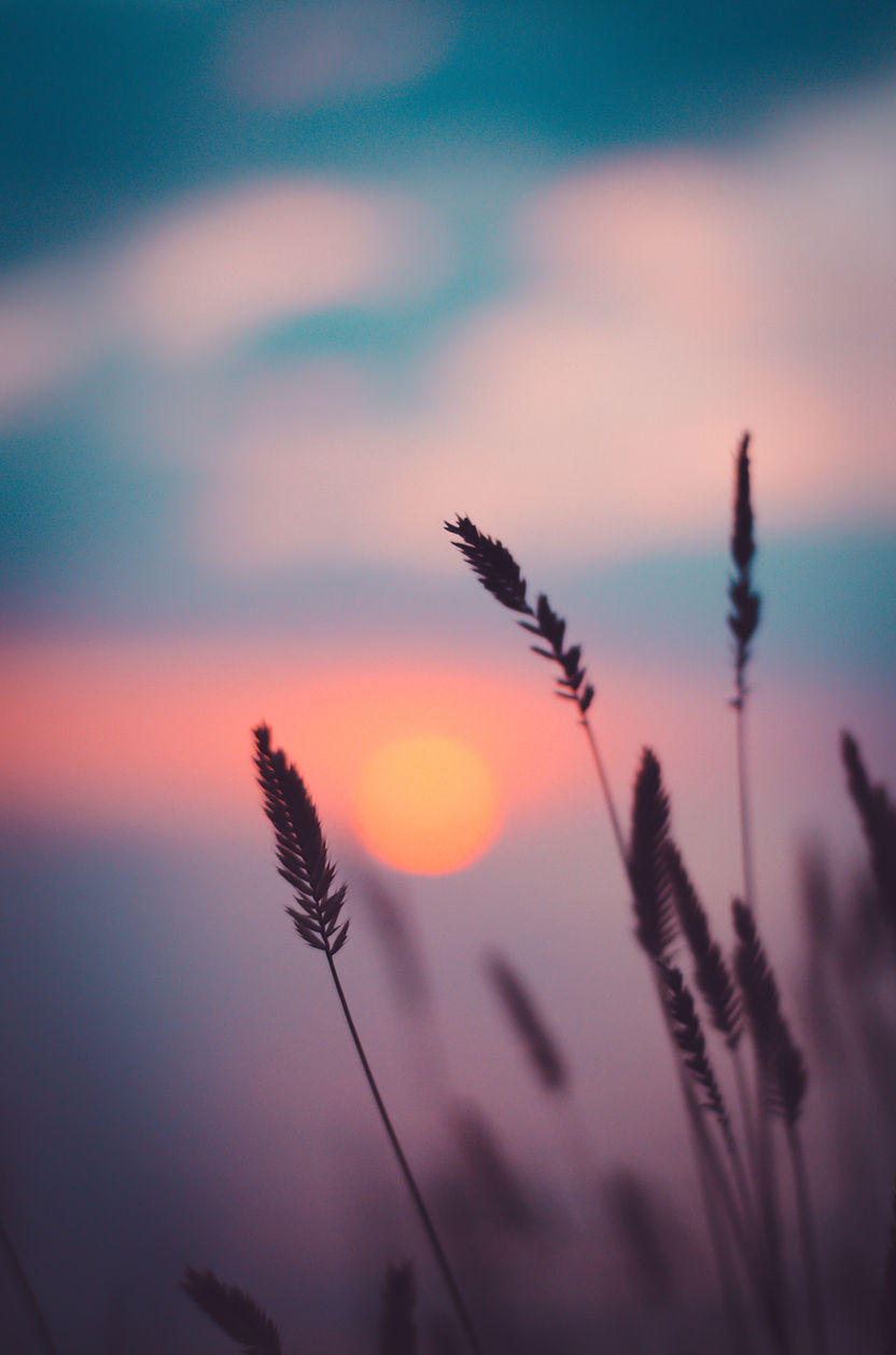 Image by Ann Savchenko