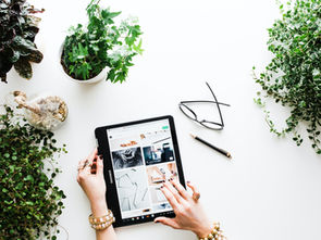 Ücretsiz online vesikalık fotoğraf yapma yöntemleri