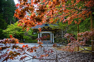 Image by Fumiaki Hayashi