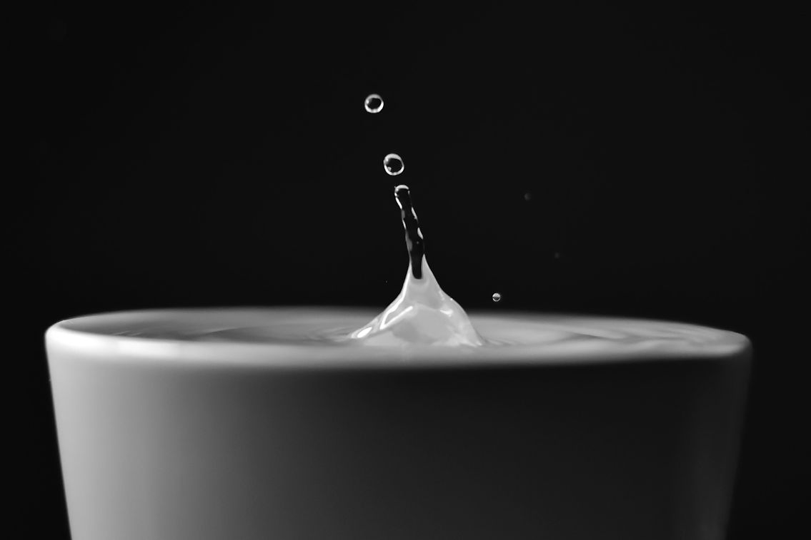 Image by Santiago Lacarta