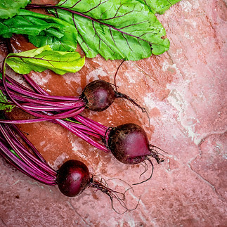 barbabietole cane gatto