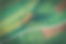 Image by Marvin Meyer
