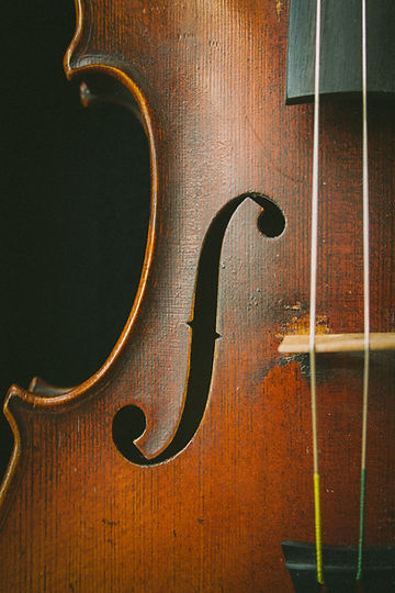 Image by Johanna Vogt