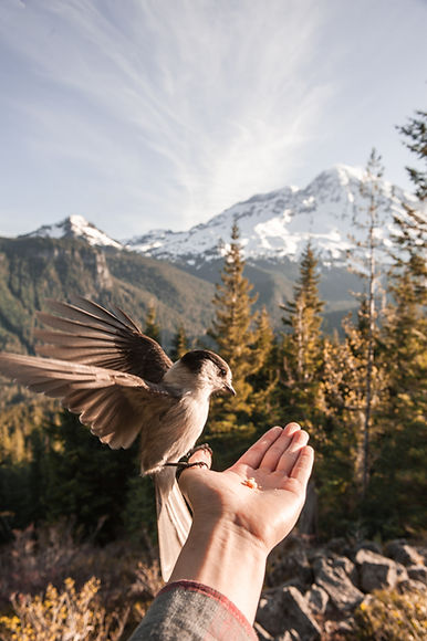 Image by Daniel Mingook Kim