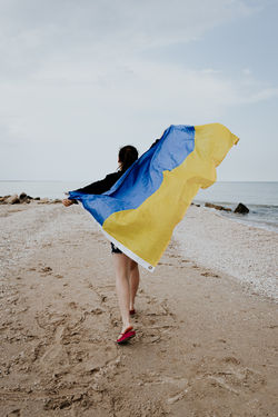 Image by Brandon Morales