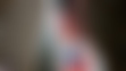 미국 온라인플랫폼 기업 규제 동향