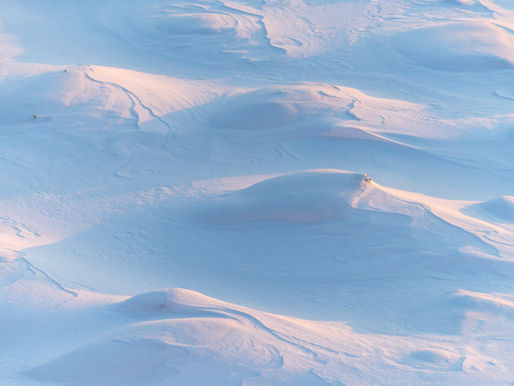 Climate Change Series: Snow & Wind Harvesting