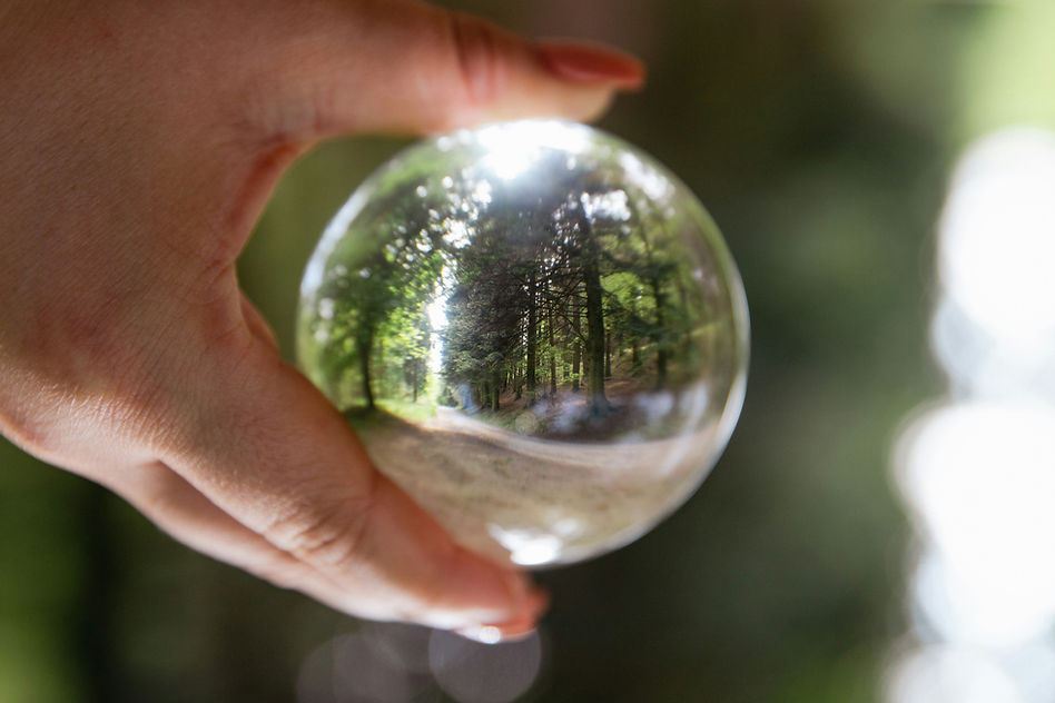 Image by Chloe Lammiman