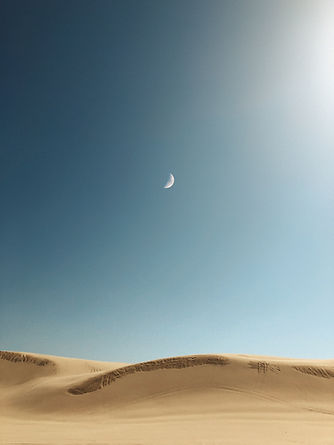 Image by Jordan Steranka