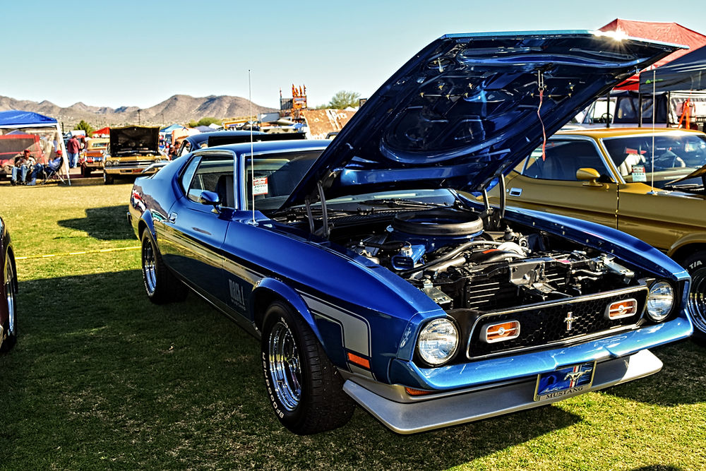 Car Show