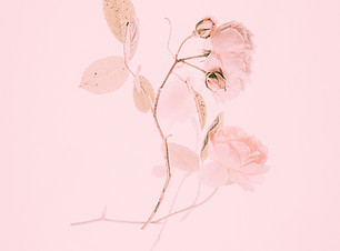 Image by Annie Spratt