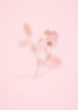 Image by Annie Spratt