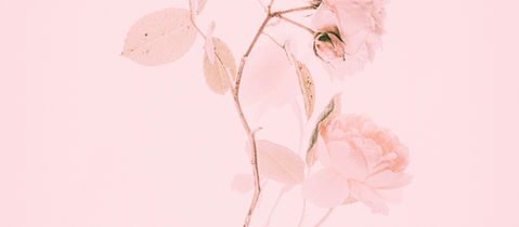 3-Week Menopause Masterclass: Rest, Reset & Renew