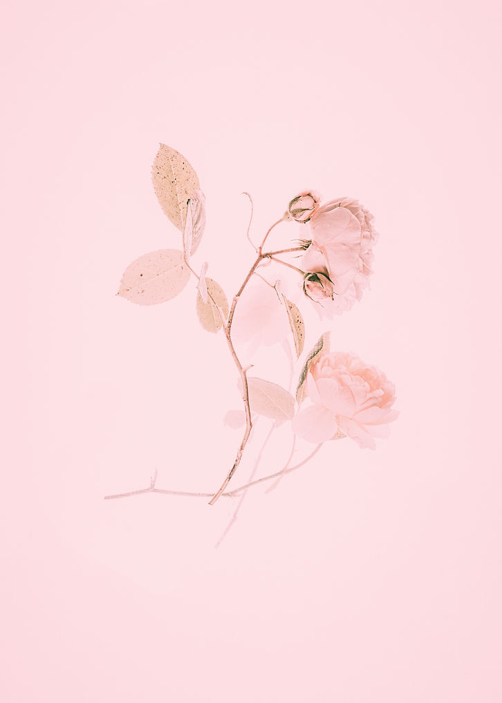 Image by Annie Spratt