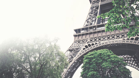 The Paris Daughter