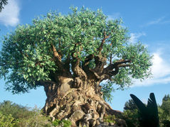 Discovering the Magic of Disney's Animal Kingdom in Orlando