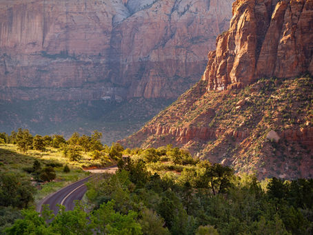 Ultimate Zion National Park Guide and Itinerary