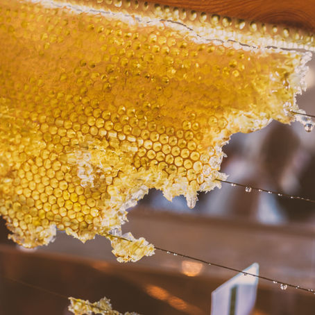 Bee Healthy