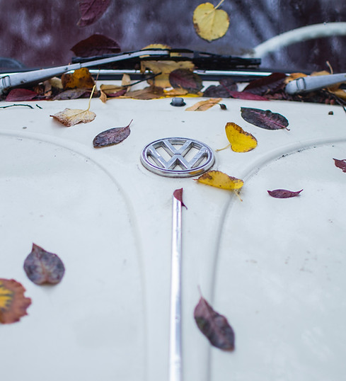 Image by Mihai Surdu