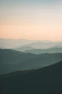 Image by Ivana Cajina