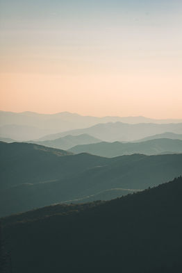 Image by Ivana Cajina