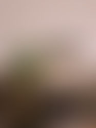 Thoughts between the lines