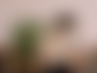 Book Publishers in Mobridge, South Dakota