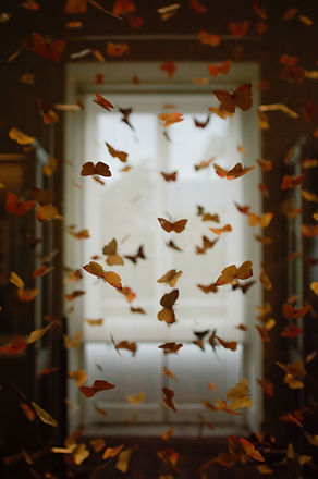 Image by Shot by Cerqueira