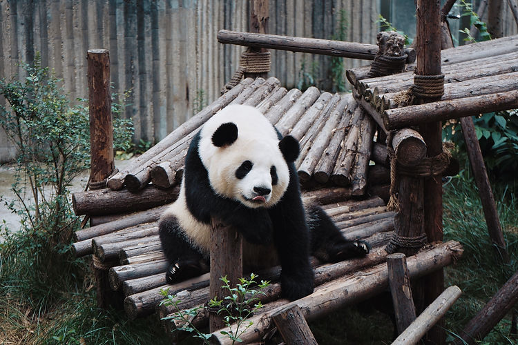 Image by billow926