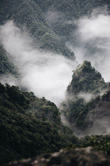 Image by Ren Ran