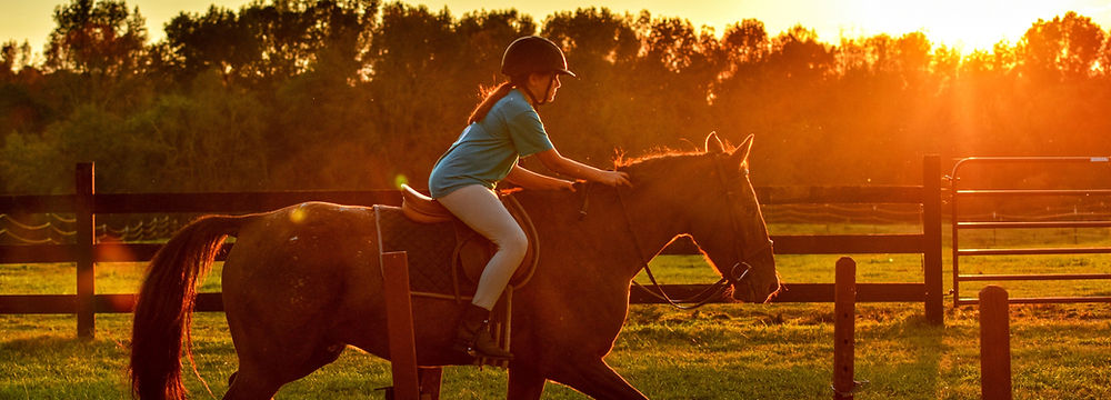 Des enfants souriants à dos de poney, explorant les sentiers pittoresques du Jura lors d'une journée ensoleillée.