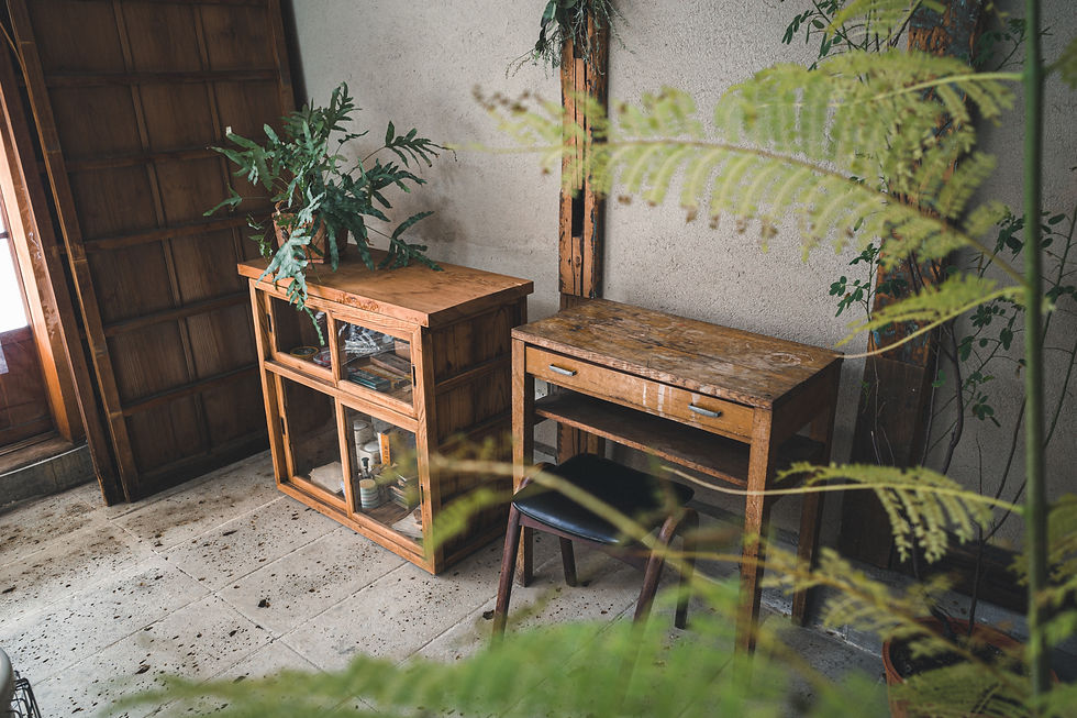 Wooden desks with plants and books in a rustic room. Light entering from a window, with green leaves in the foreground. Quiet, natural ambiance.