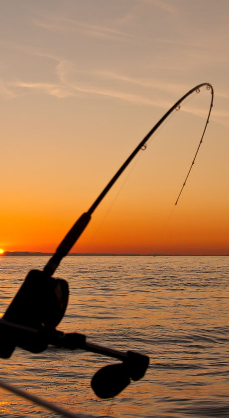 Image by James Wheeler