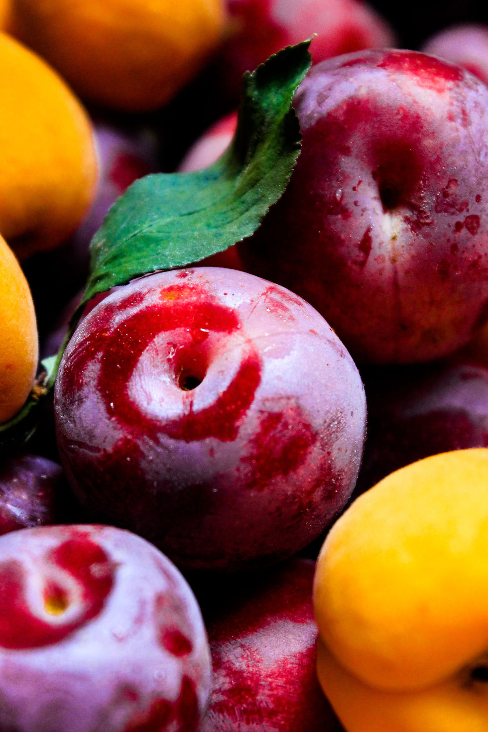 Organic Red Plums (ea)